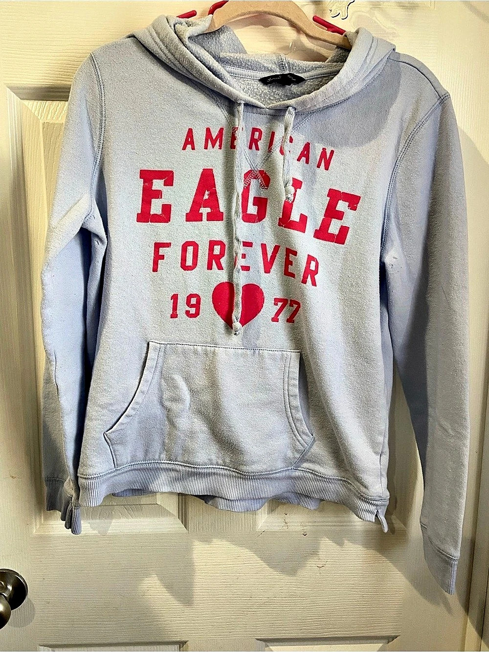 American Eagle Outfitters American Eagle Forever 1977 Graphic Hoodie Forever